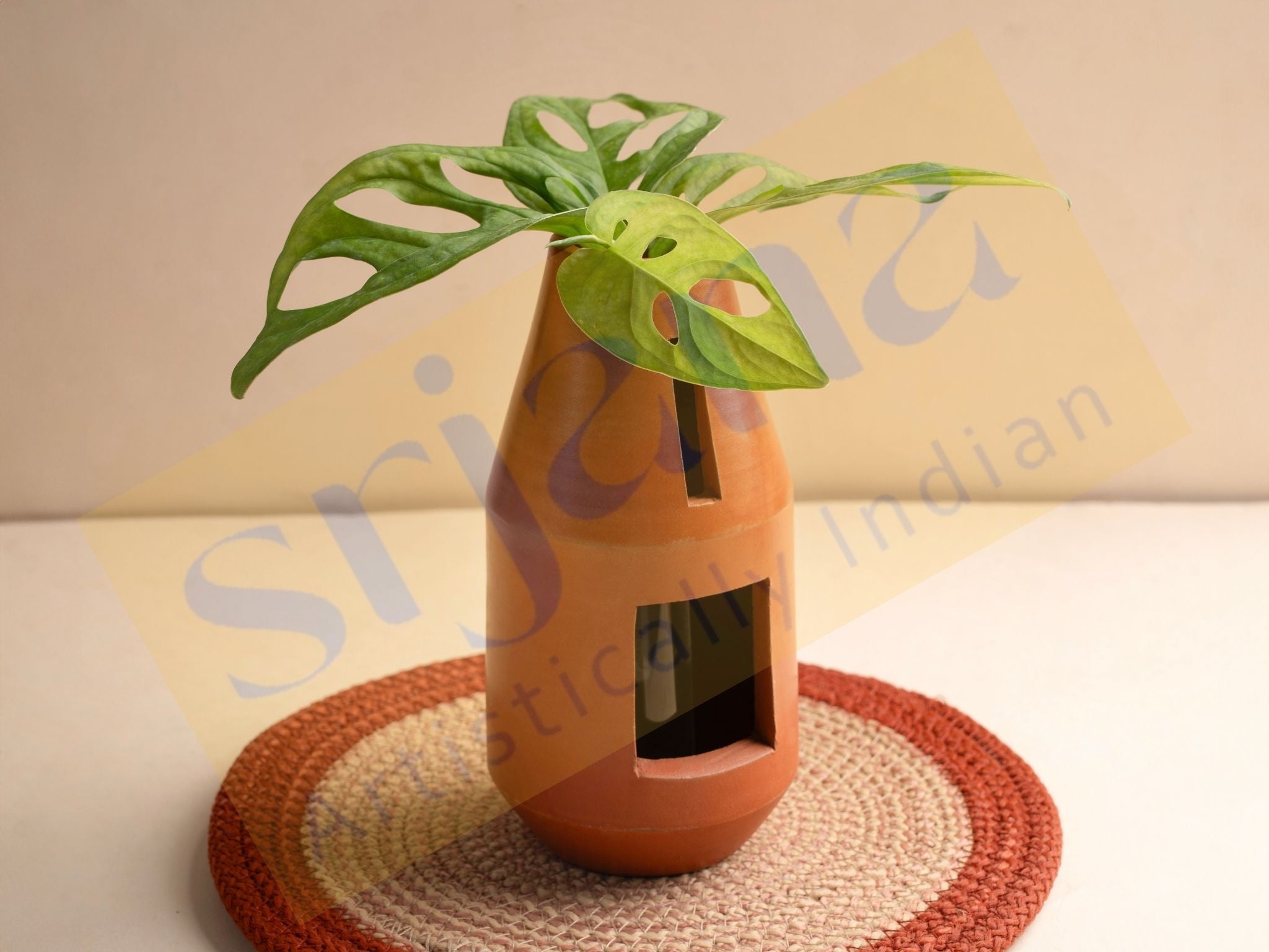 indoor bottle plants Terracotta Bottle-Shaped Indoor Planter with Glass Tube – Srjana