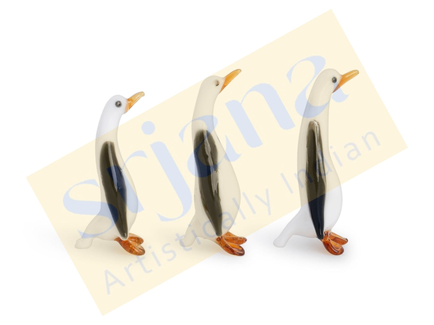 Glass Penguin