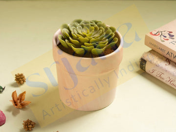 Dual Tone Ceramic Planter