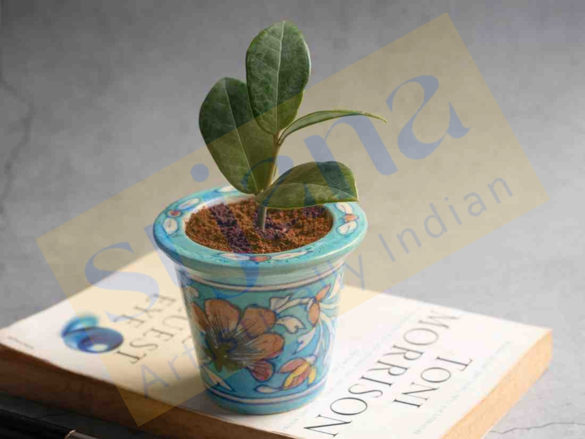 Blue Pottery Planter