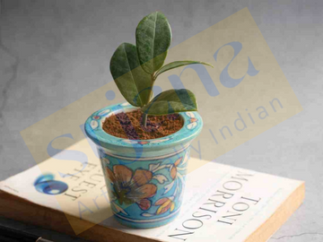 Blue Pottery Planter