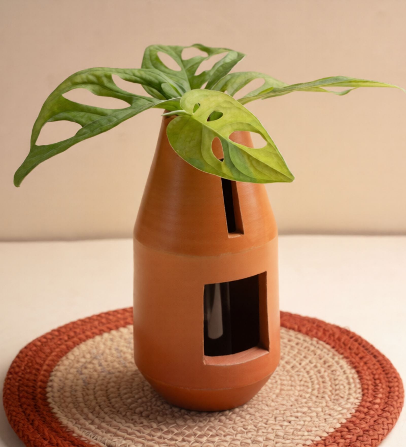 Terracotta Bottle-Shaped Indoor Planter with Glass Tube