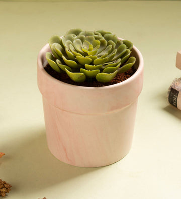 Dual Tone Ceramic Planter