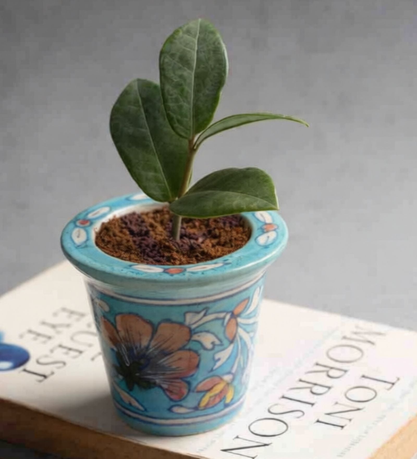 Blue Pottery Planter