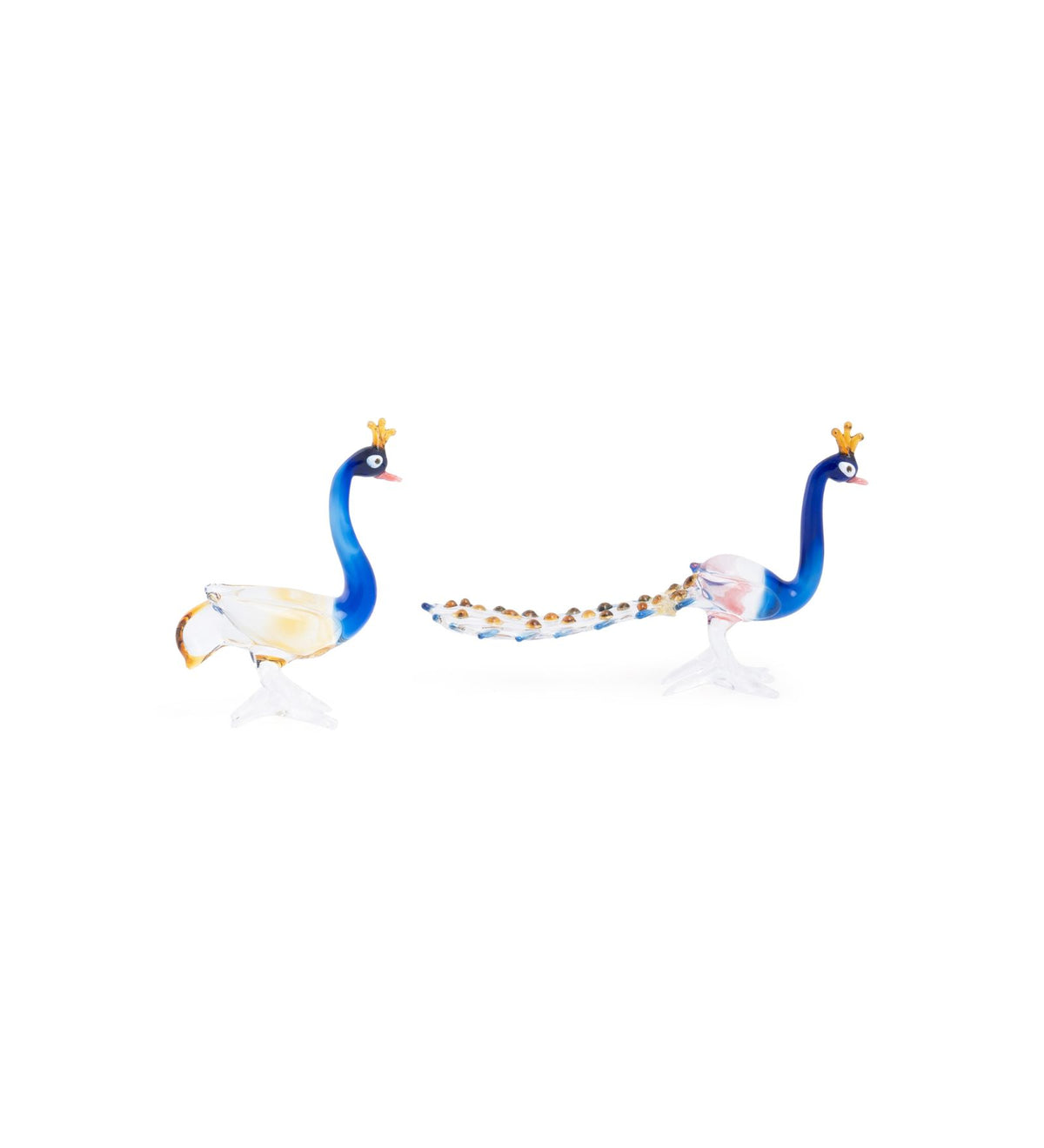 Glass Peacock