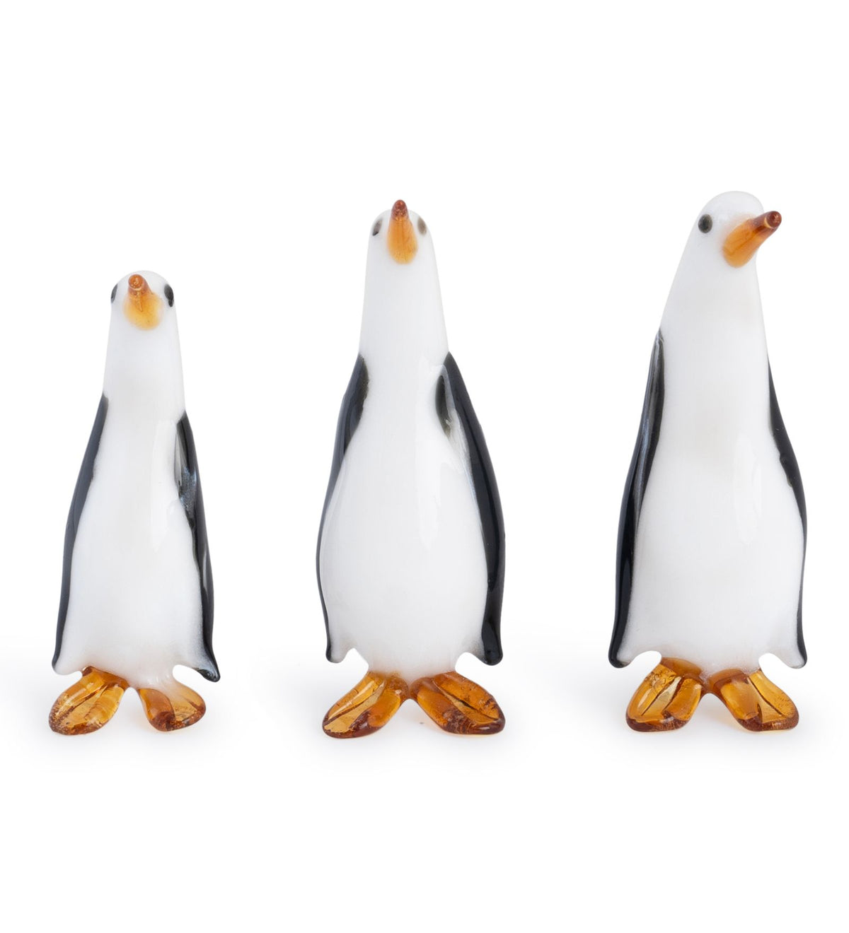 Glass Penguin